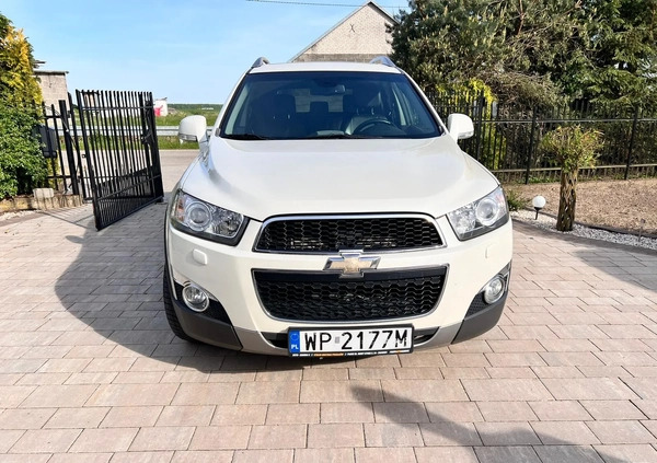 Chevrolet Captiva cena 33000 przebieg: 266000, rok produkcji 2012 z Płock małe 172